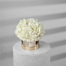 Load image into Gallery viewer, Hydrangea Bloom Box