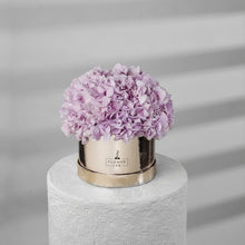 Load image into Gallery viewer, Hydrangea Bloom Box