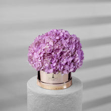 Load image into Gallery viewer, Hydrangea Bloom Box