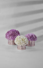 Load image into Gallery viewer, Hydrangea Bloom Box