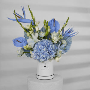 Cool Blue Bloom Box