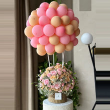 Load image into Gallery viewer, Hot Air Balloon
