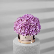 Load image into Gallery viewer, Hydrangea Bloom Box
