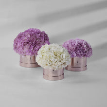 Load image into Gallery viewer, Hydrangea Bloom Box

