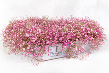 Load image into Gallery viewer, Baby&#39;s Breath Heart Arrangement
