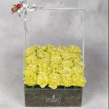 Load image into Gallery viewer, Carnations Basket
