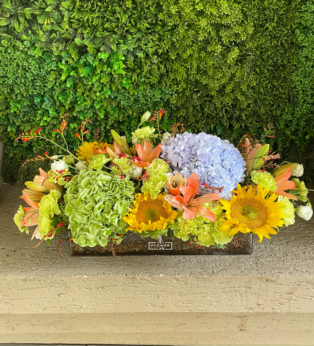 Florist Choice Arrangement in acrylic box